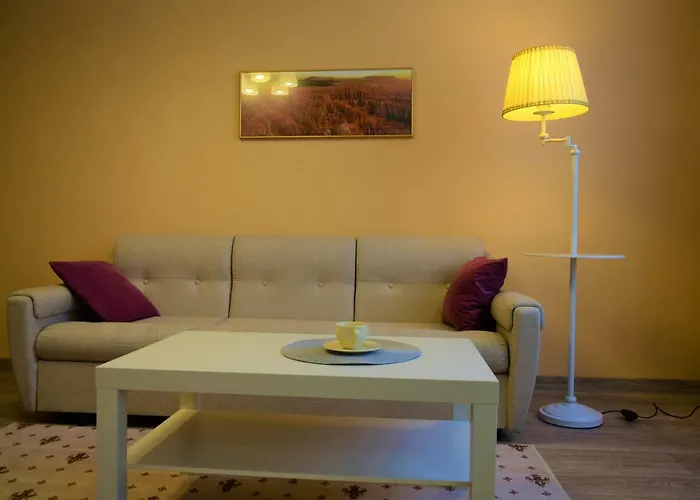 Central Comfortable One-Bedroom Apartment