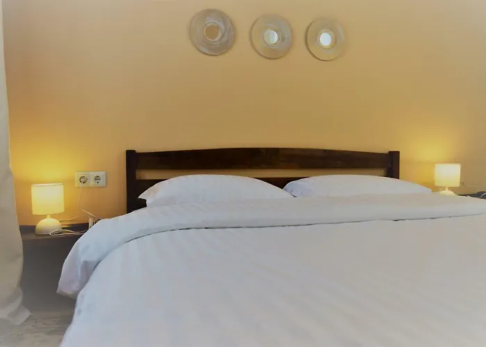 Central Comfortable One-Bedroom Apartment